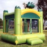 Castillo hinchable, Rana