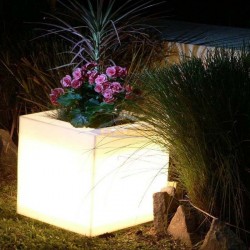 Illuminated square flowerpot, Narciso