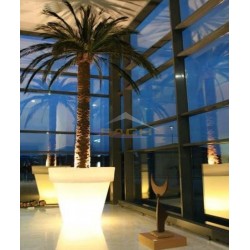 Macetero iluminado, Dubai