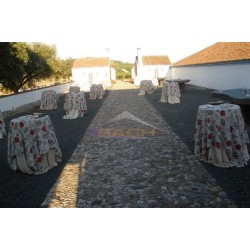 Alquiler carpa para eventos