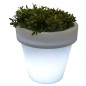 Illuminated flowerpot, Magnolia Illuminated flowerpot, Magnolia