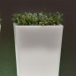 Plantador con luz, Melisa Plantador con luz, Melisa