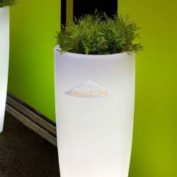Macetero con luz, Bambu