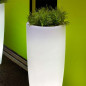 Illuminated flowerpot, Bambu