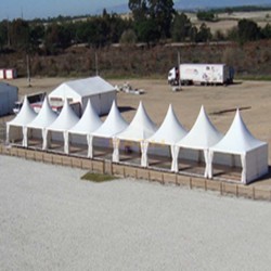 carpa pagode