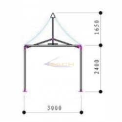 Carpa Págode 