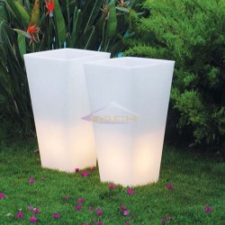 Champañera con luz, Melisa