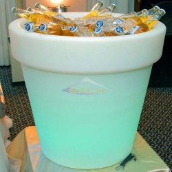 Led resin bottle holder, Magnolia