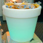 Led resin bottle holder, Magnolia