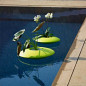Floating vase