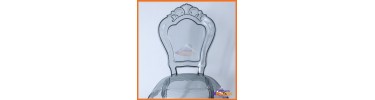 Bella chairs transparent
